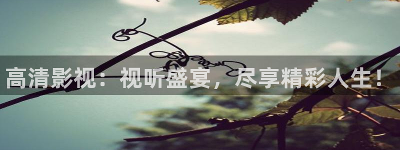 飘零影院6080：高清影视：视听盛宴，尽享精彩人生！
