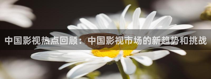 飘零影院在线观看免费高清完整版