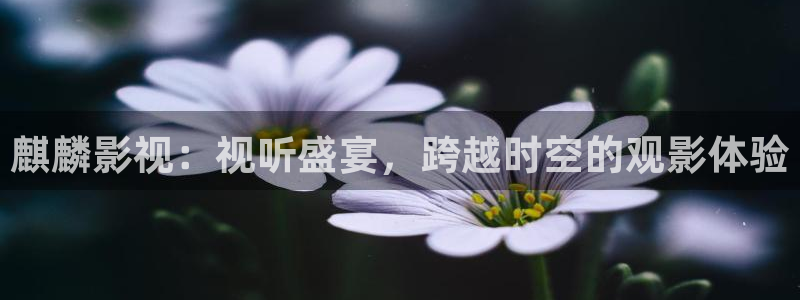 飘零影院电视剧