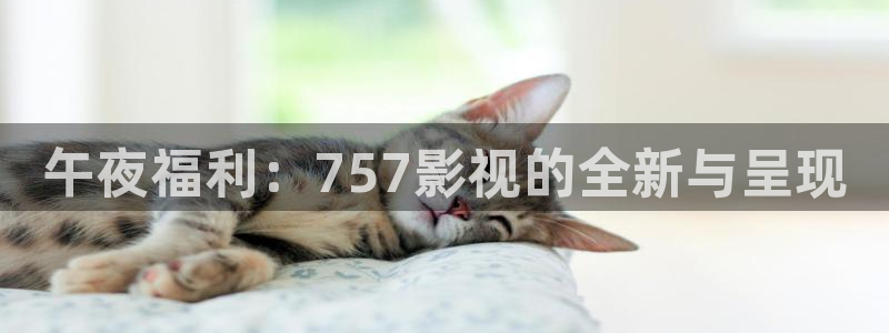 飘零未来影院