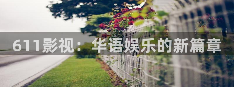 飘零影院2020
