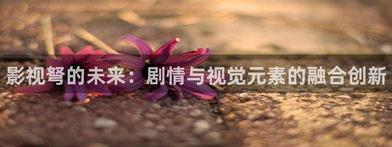 神马电影院飘零影院