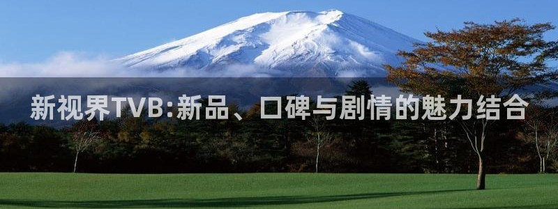 飘零影院首页